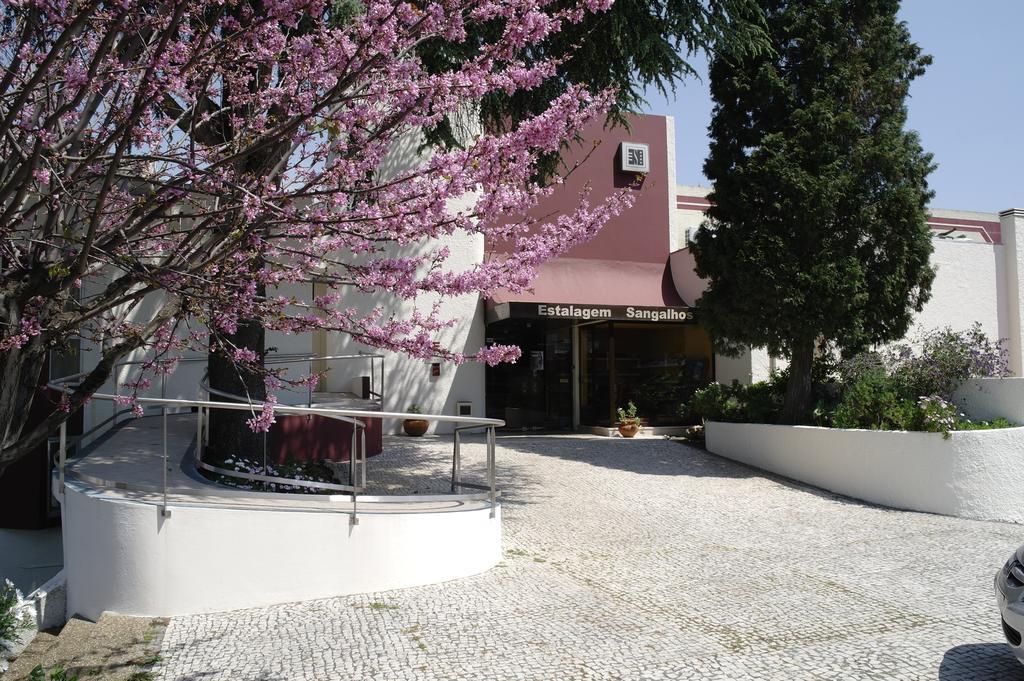 Hotel Estalagem De Sangalhos Extérieur photo
